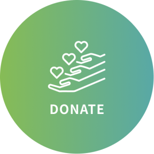 donate-icon