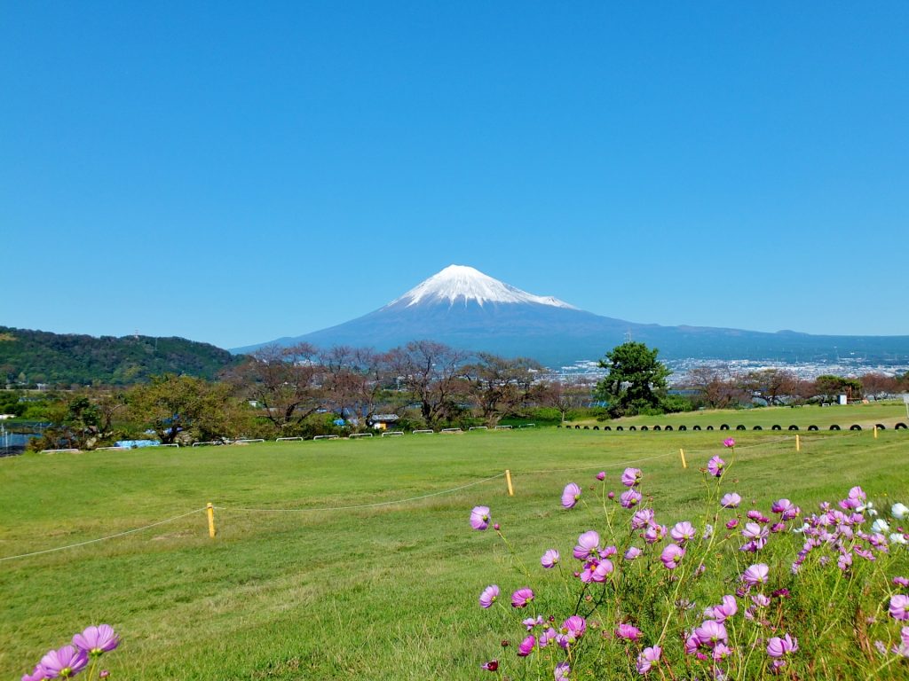 【ひと】静岡の募金復活に向けて