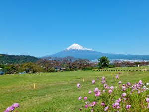 【ひと】静岡の募金復活に向けて