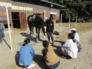 【取材報告】阪神淡路大震災から28年。神戸大学馬術部と紡いできた遺児支援